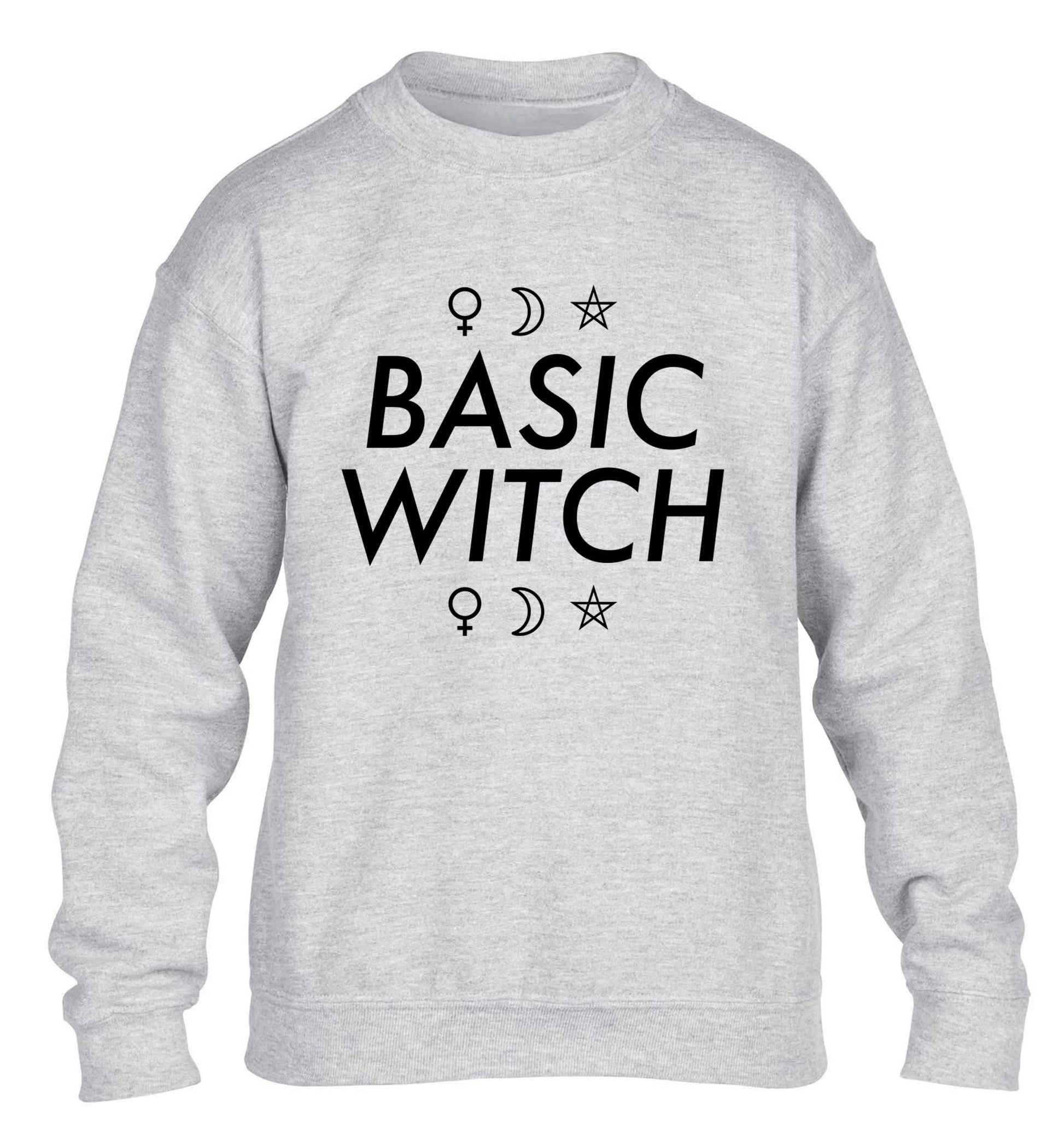 Basic witch 1 children's grey sweater 12-13 Years