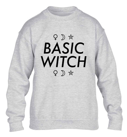 Basic witch 1 children's grey sweater 12-13 Years