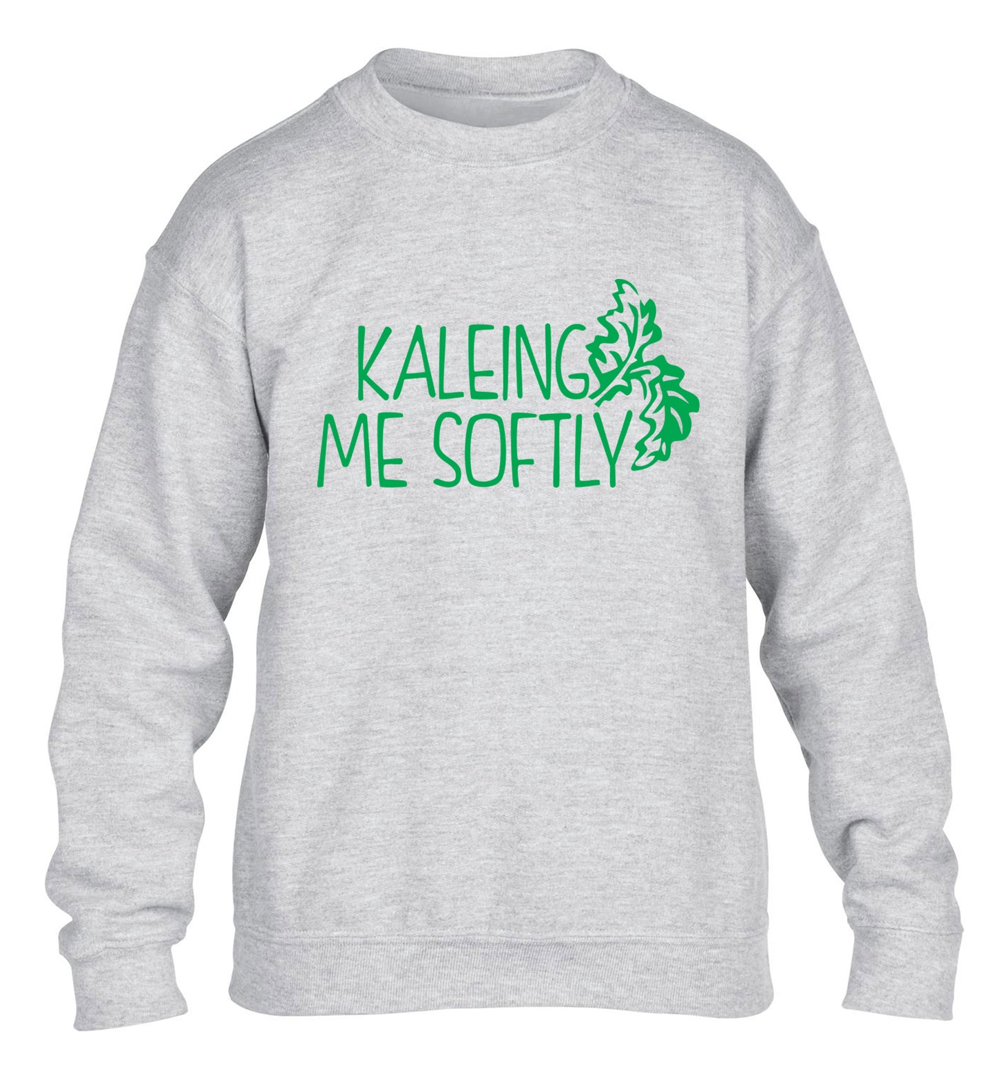 Kaleing me softly children's grey sweater 12-14 Years