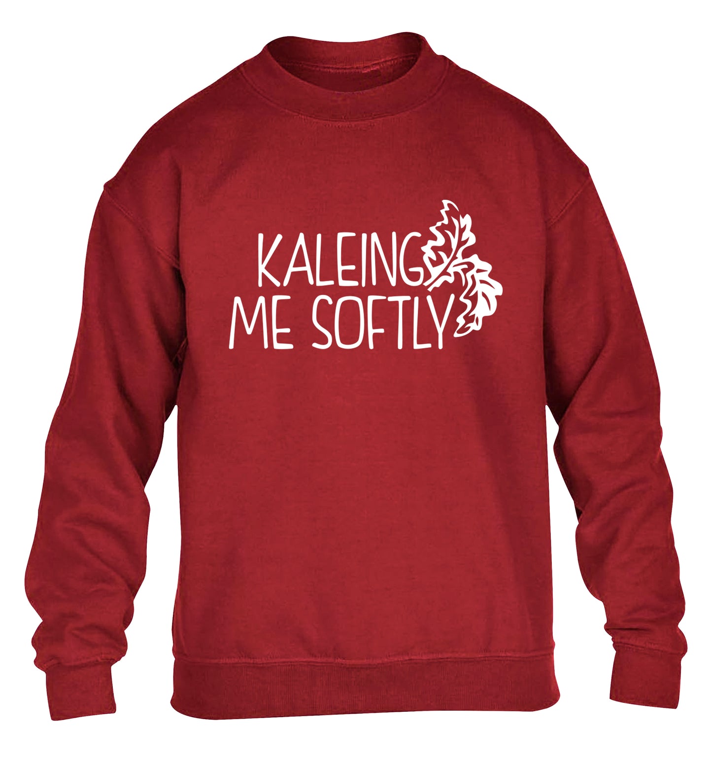 Kaleing me softly children's grey sweater 12-14 Years
