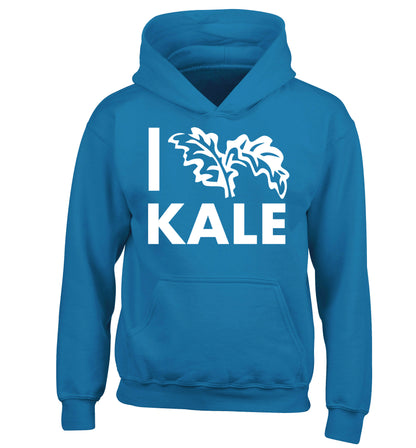 I love kale children's blue hoodie 12-14 Years