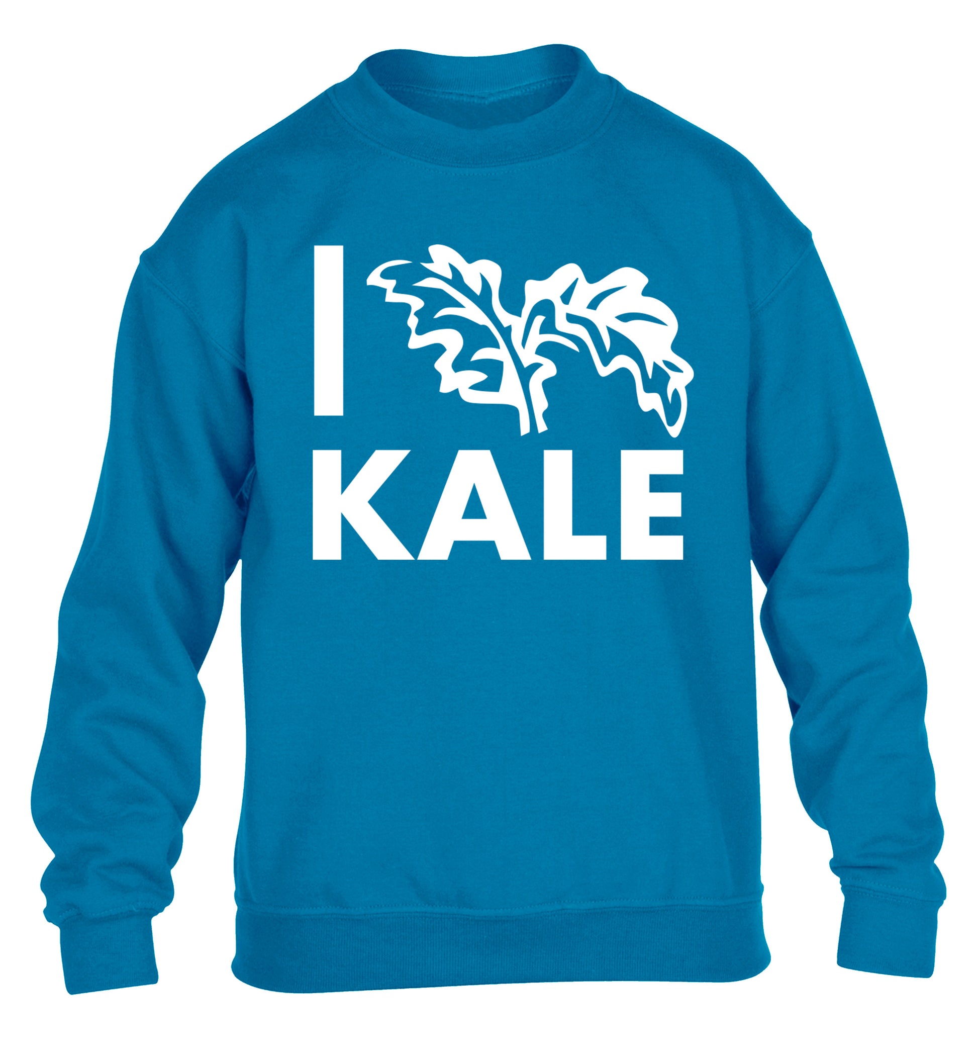 I love kale children's blue sweater 12-14 Years