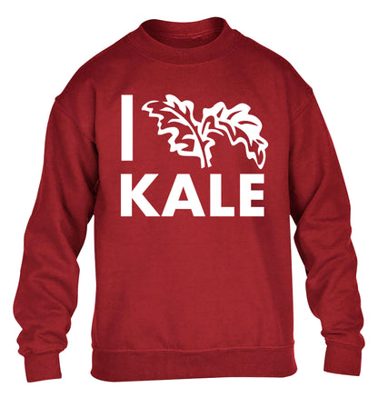 I love kale children's grey sweater 12-14 Years