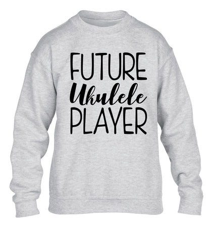 Future ukulele player children's grey sweater 12-14 Years