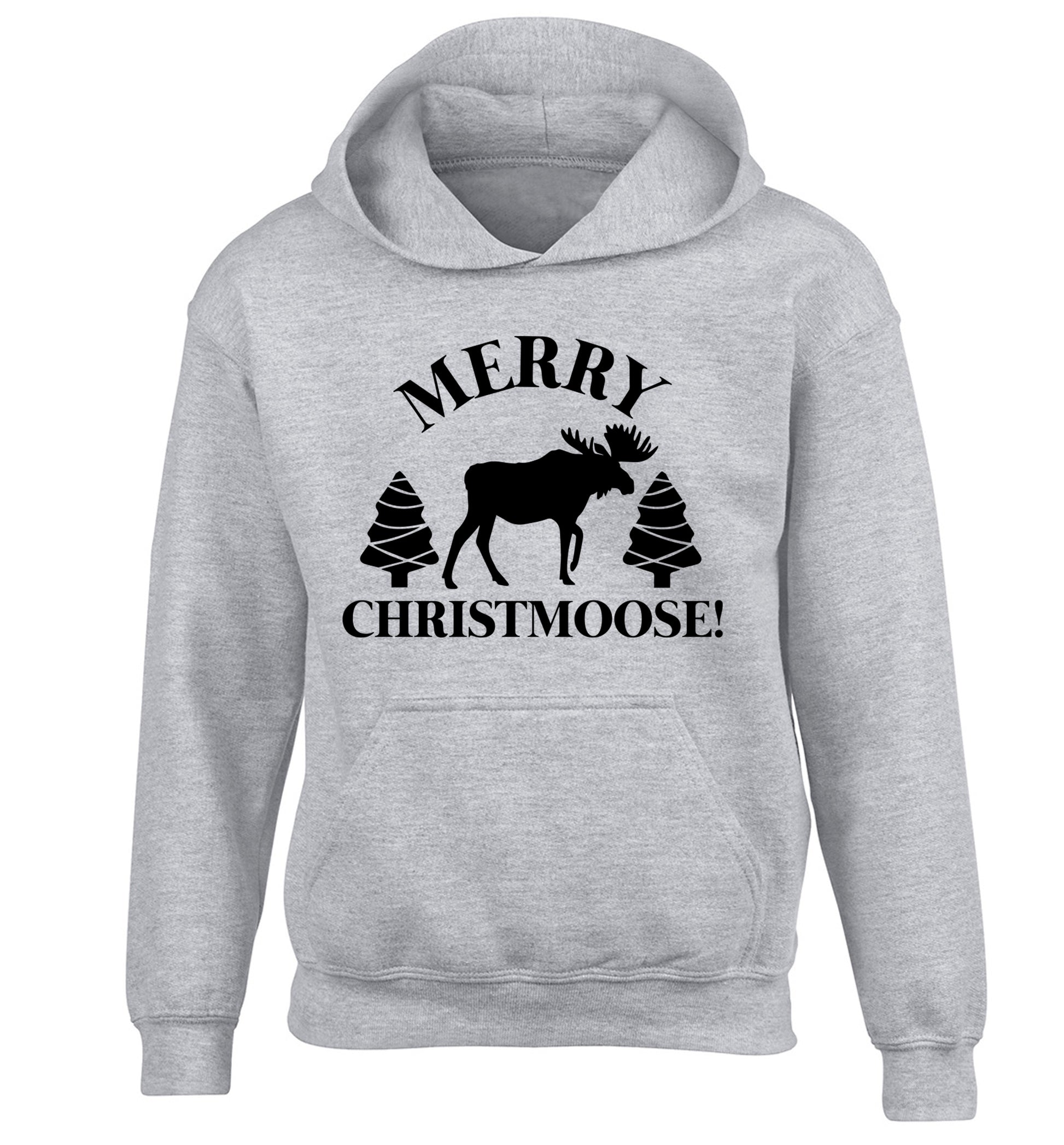 Merry Christmoose children's grey hoodie 12-14 Years