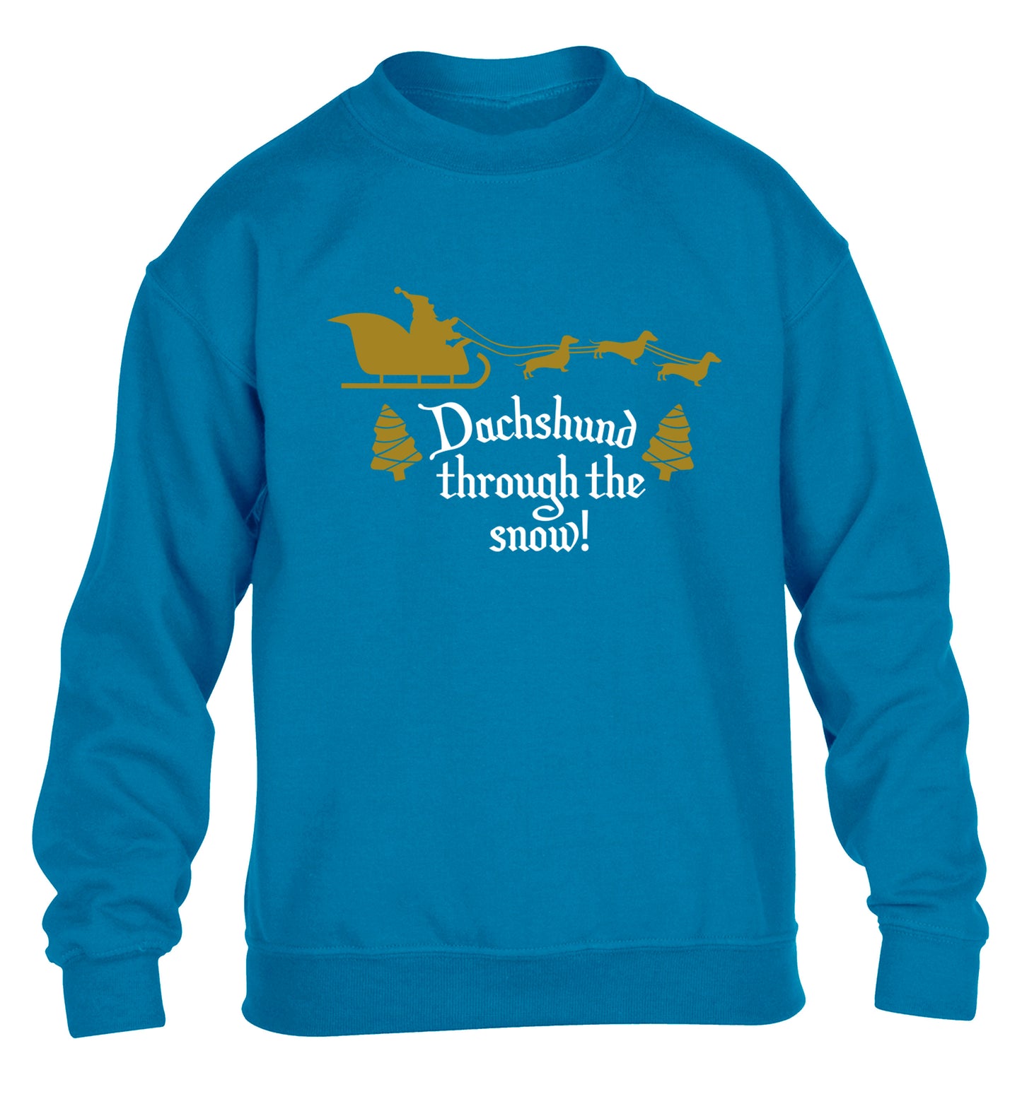 Dachshund through the snow children's blue sweater 12-14 Years