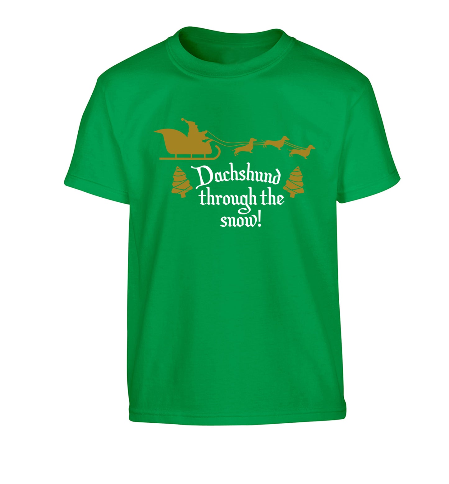 Dachshund through the snow Children's green Tshirt 12-14 Years