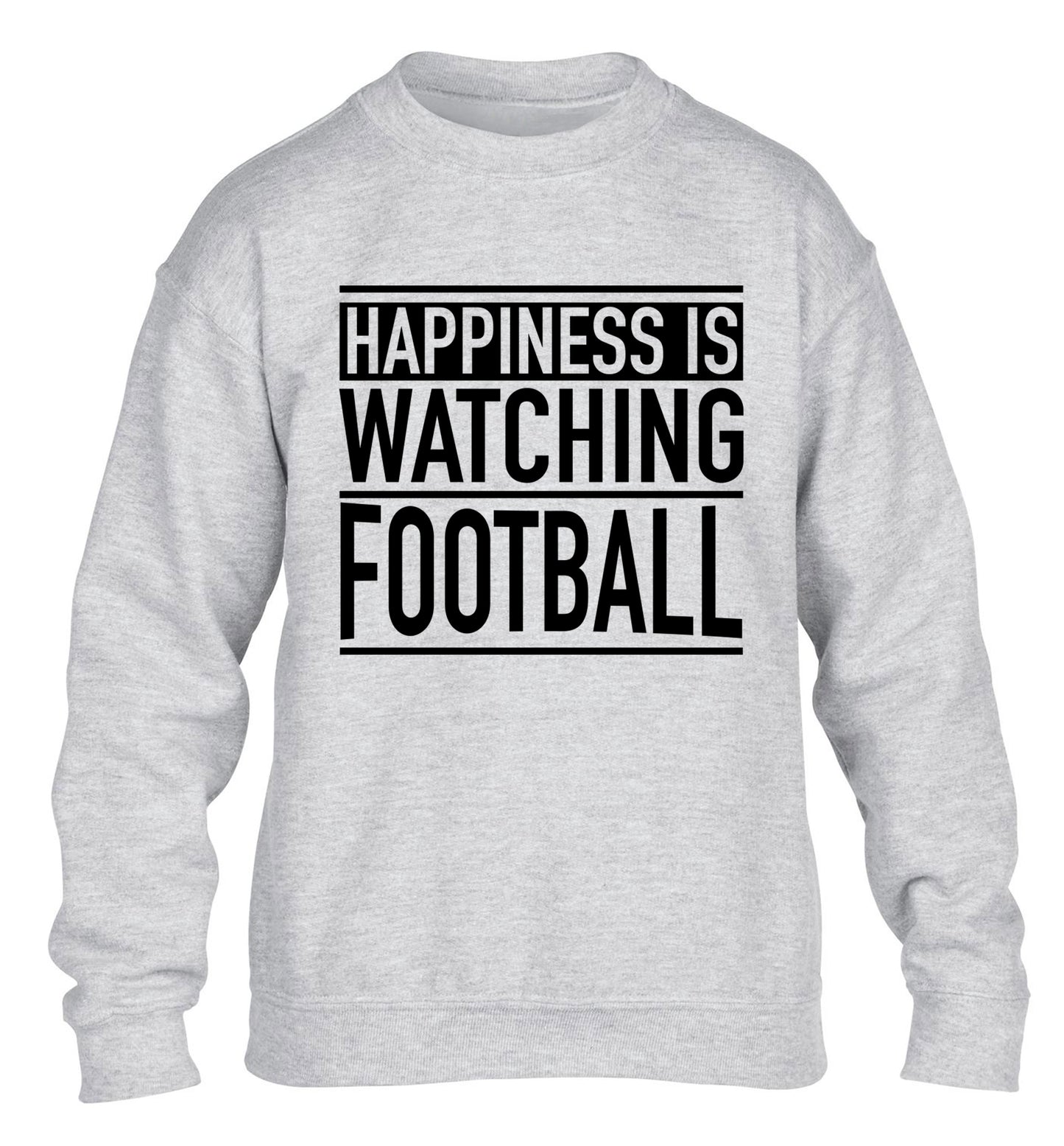 Happiness is watching football children's grey sweater 12-14 Years