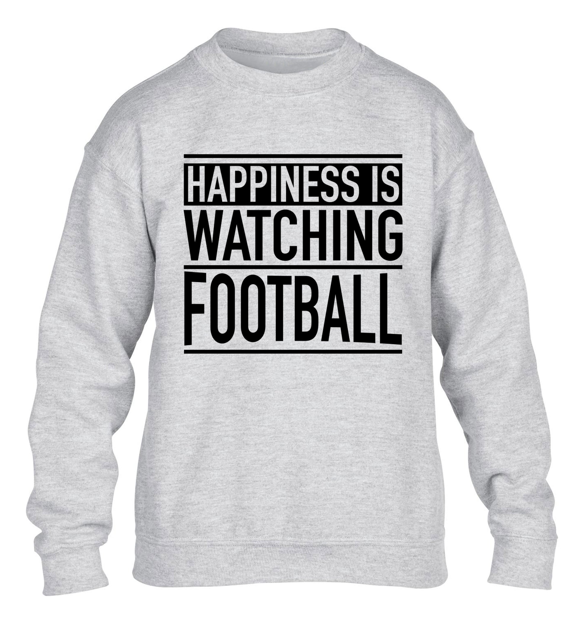 Happiness is watching football children's grey sweater 12-14 Years