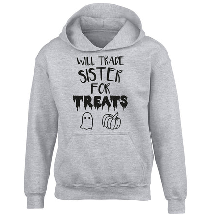Will trade sister for sweets children's grey hoodie 12-14 Years