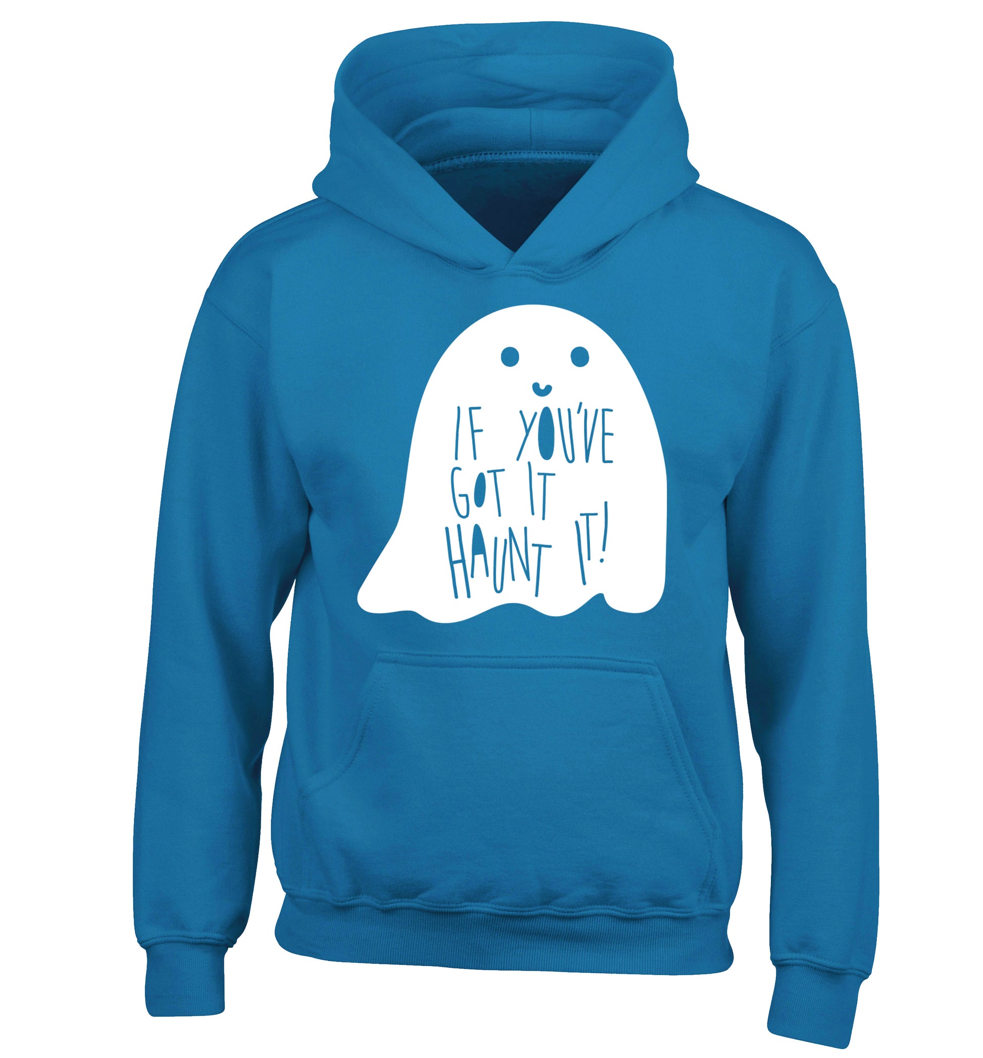 If you've got it haunt it children's blue hoodie 12-14 Years