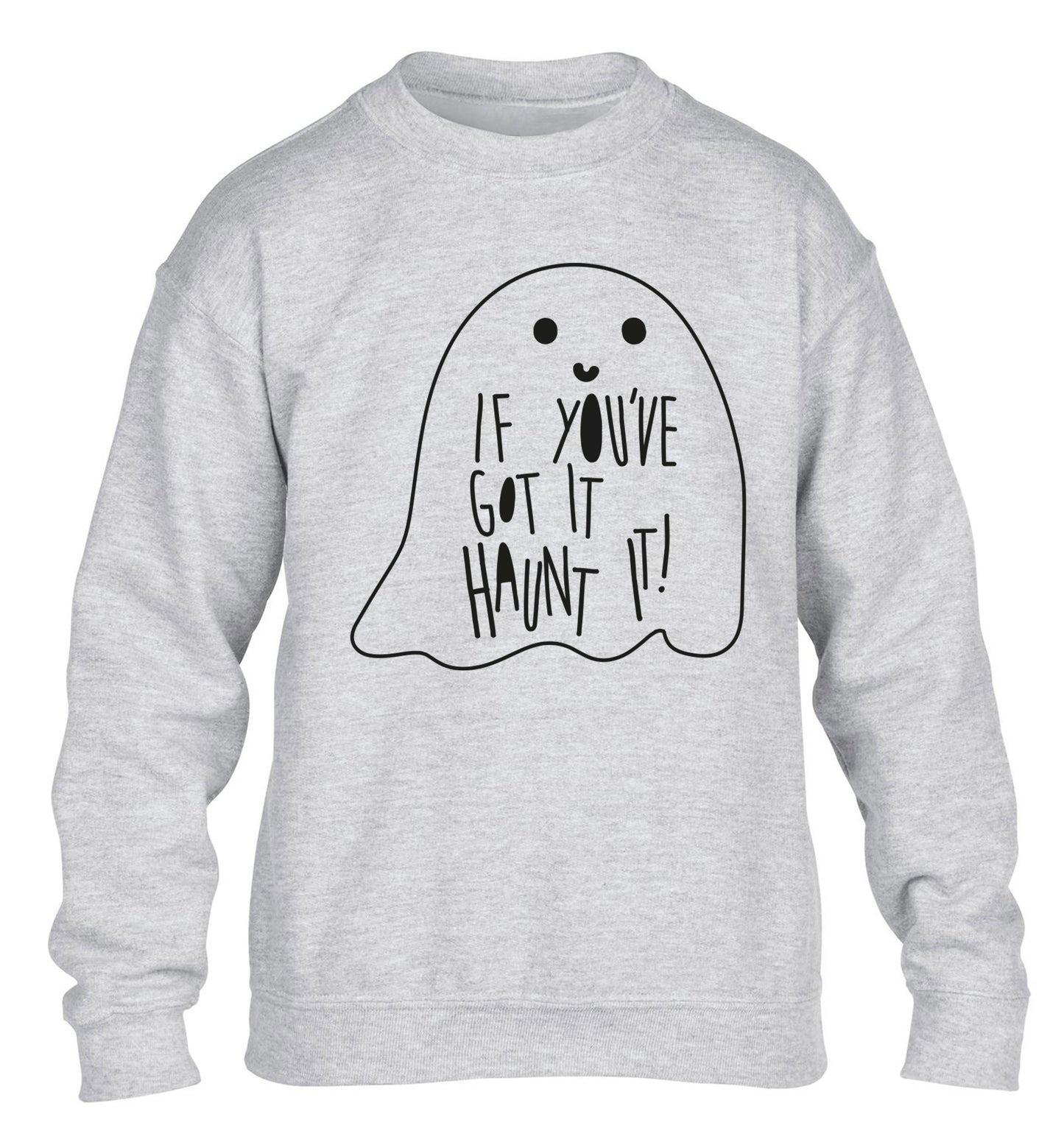 If you've got it haunt it children's grey sweater 12-14 Years