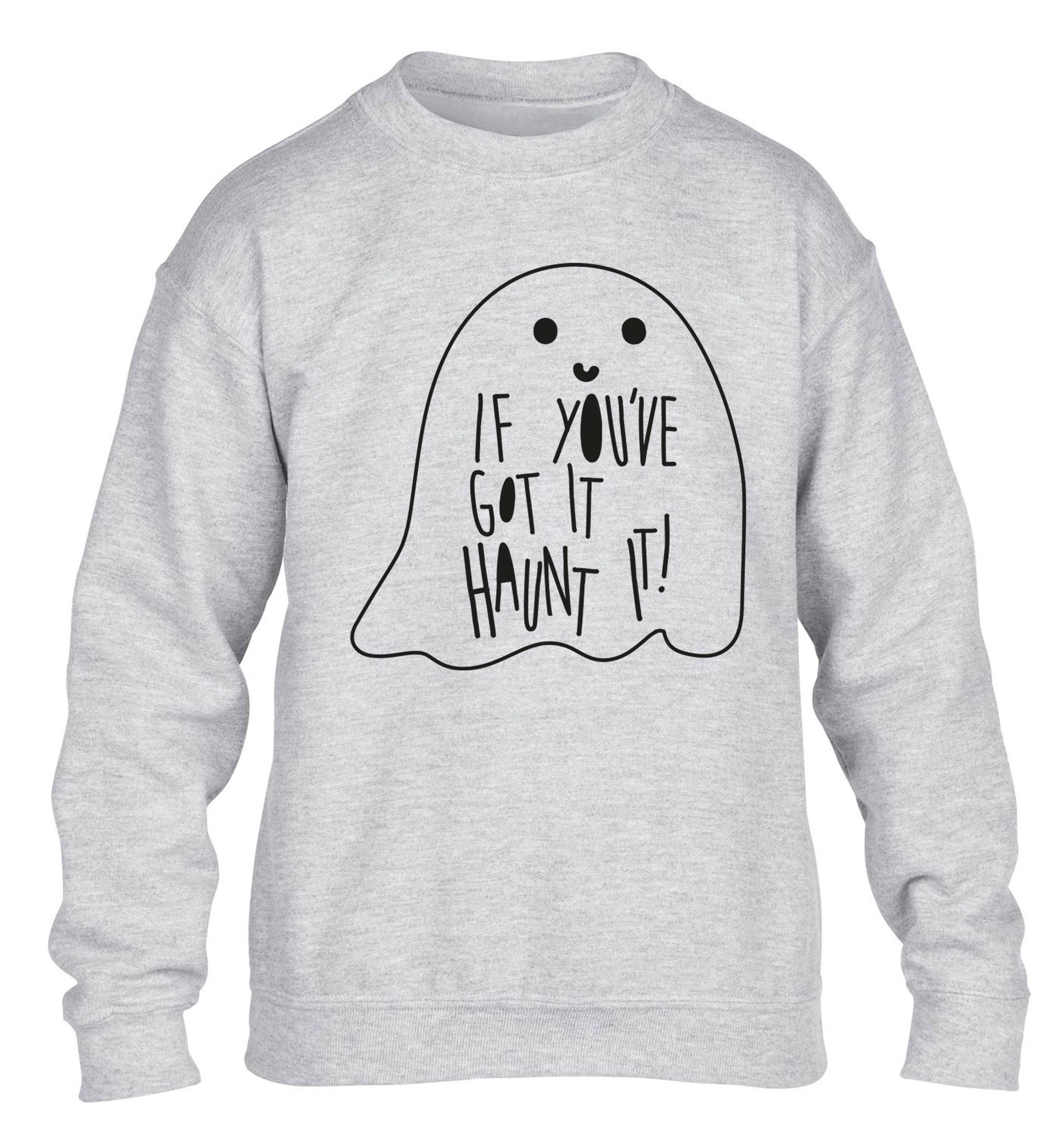 If you've got it haunt it children's grey sweater 12-14 Years