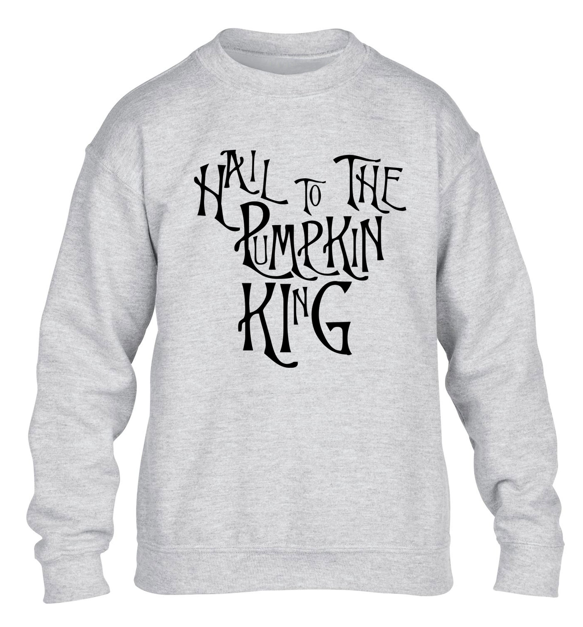 Hail to the pumpkin king children's grey sweater 12-14 Years