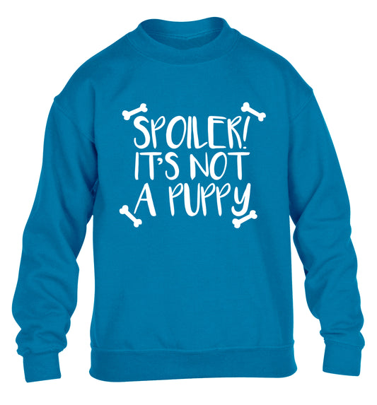 Spoiler it's not a puppy children's blue sweater 12-13 Years