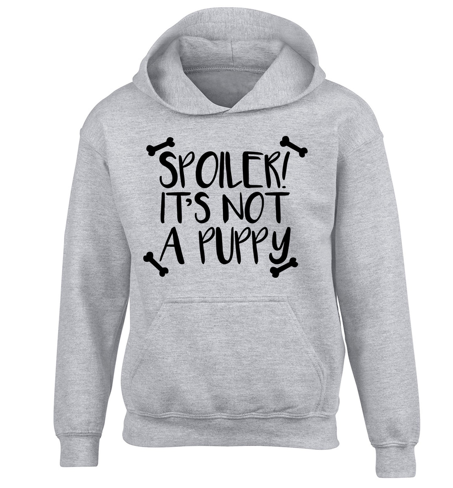 Spoiler it's not a puppy children's grey hoodie 12-13 Years