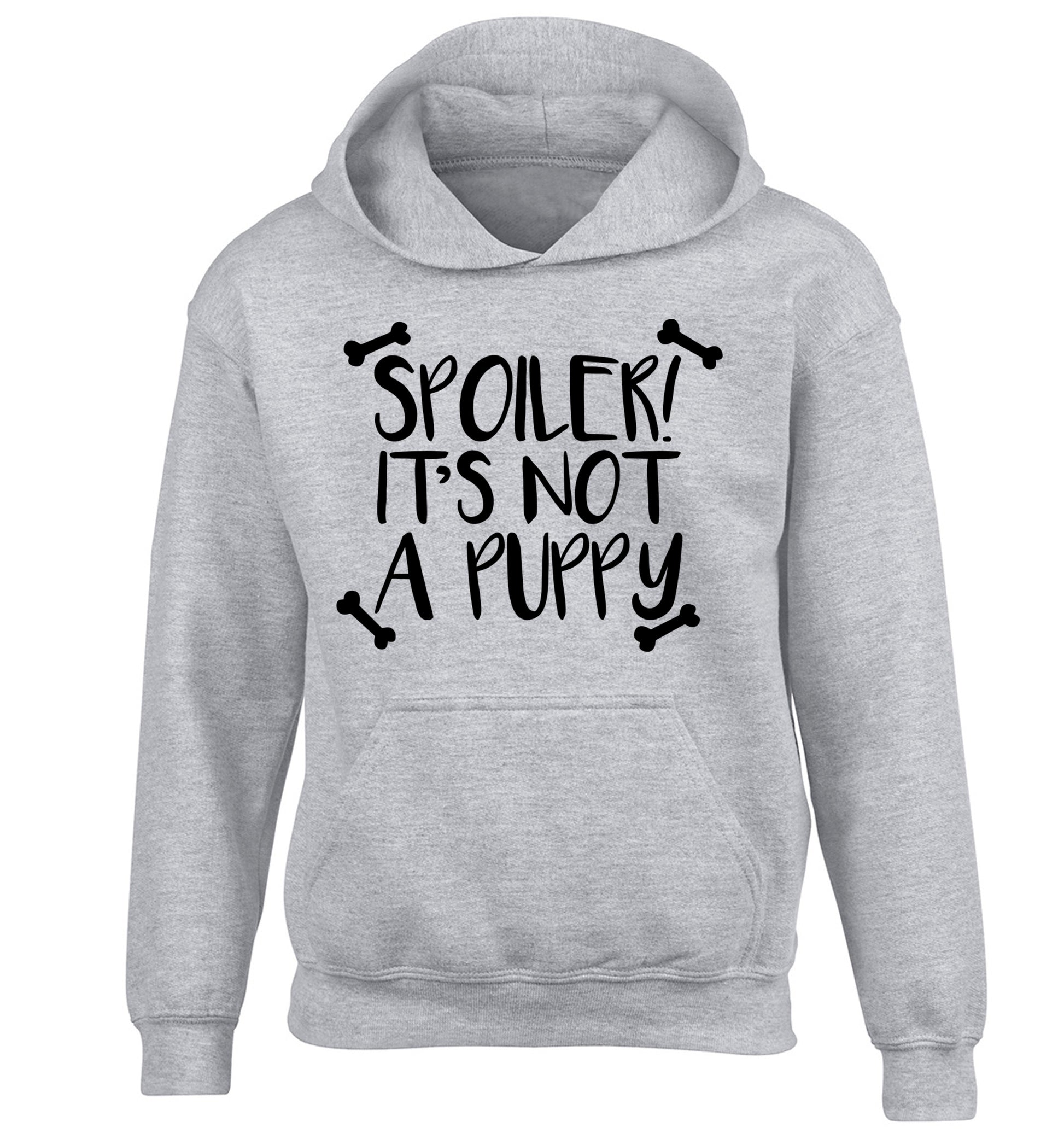 Spoiler it's not a puppy children's grey hoodie 12-13 Years