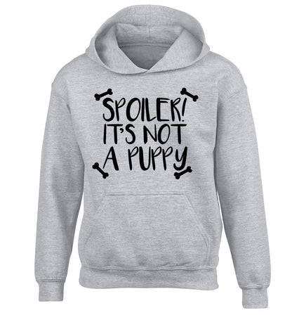 Spoiler it's not a puppy children's grey hoodie 12-13 Years