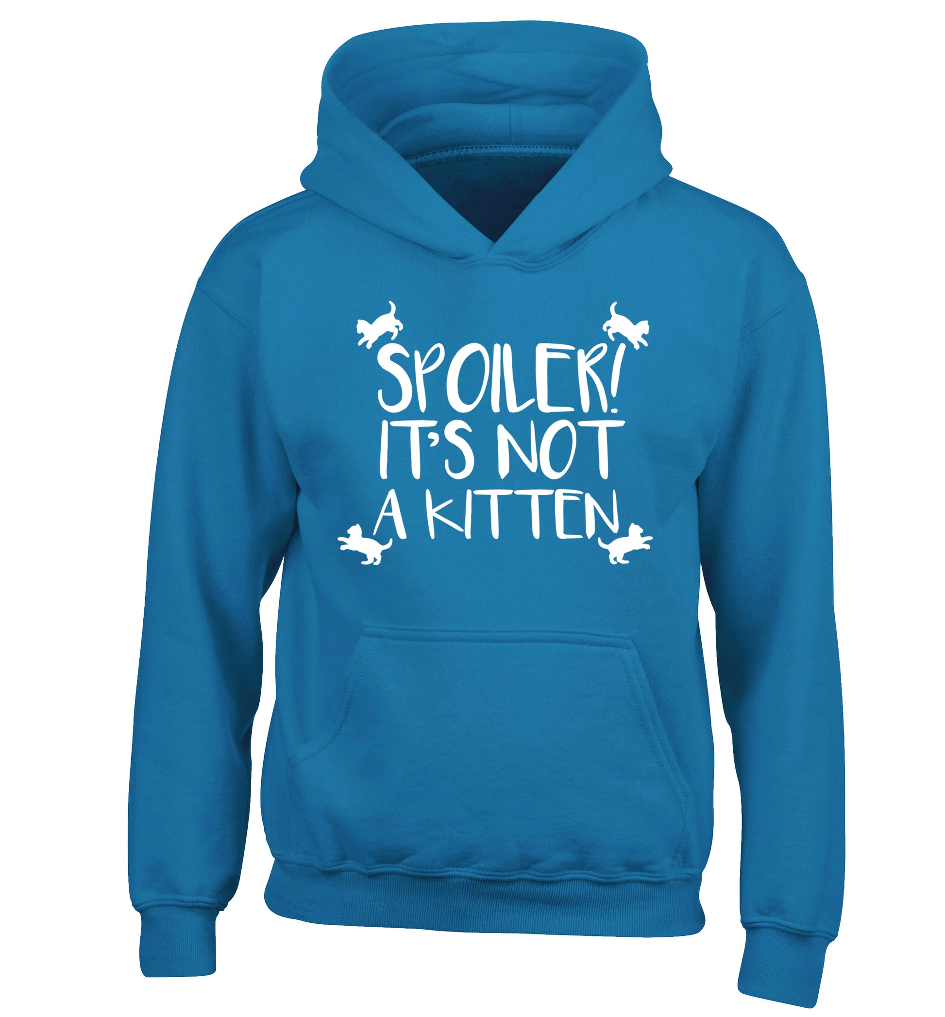 Spoiler it's not a kitten children's blue hoodie 12-13 Years