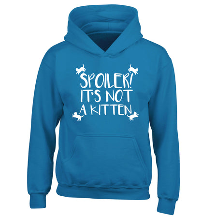 Spoiler it's not a kitten children's blue hoodie 12-13 Years