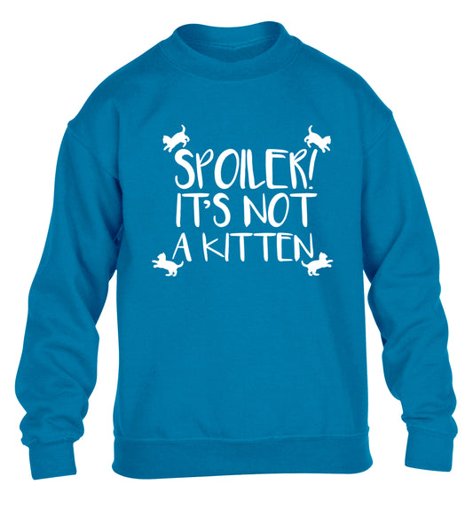 Spoiler it's not a kitten children's blue sweater 12-13 Years