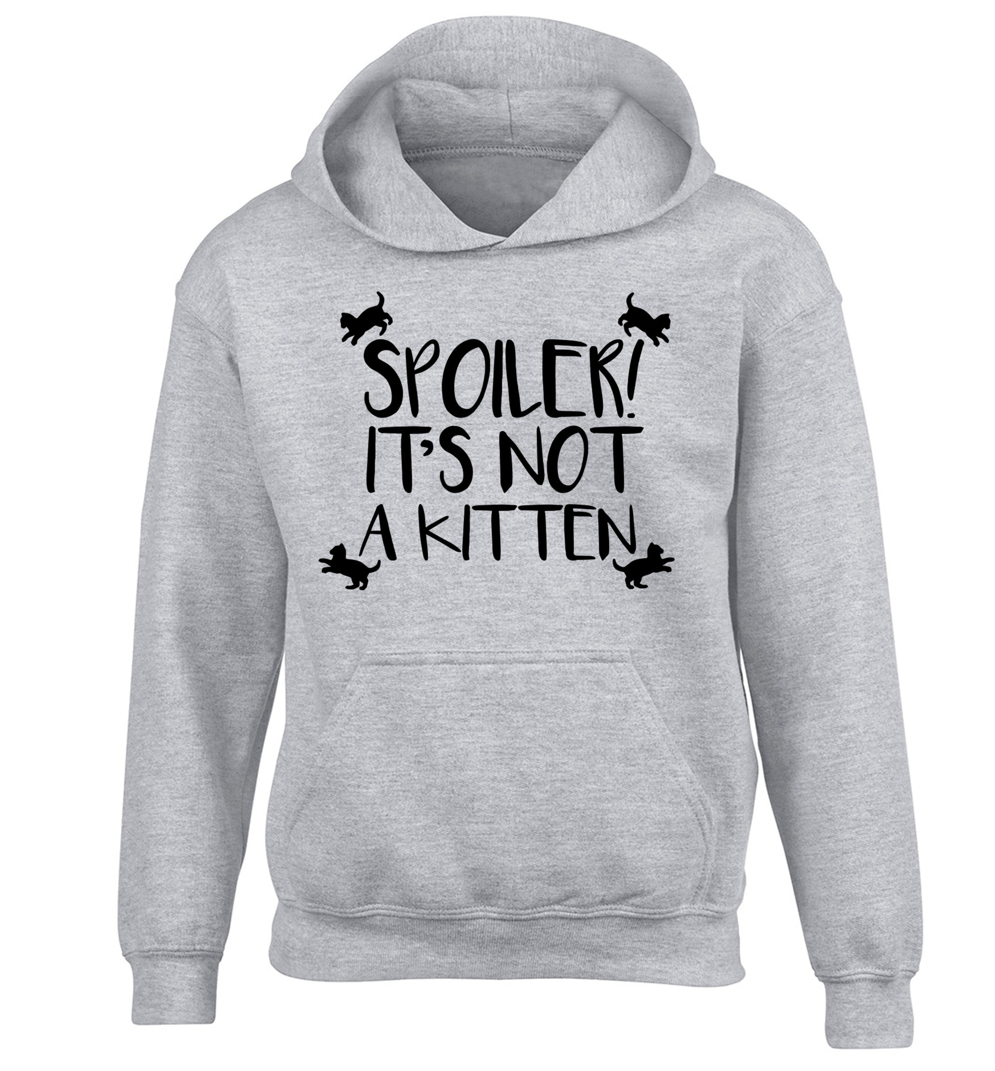 Spoiler it's not a kitten children's grey hoodie 12-13 Years