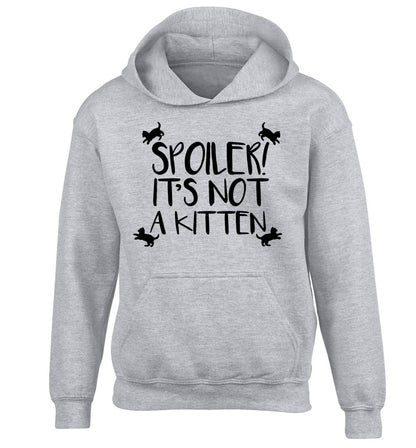 Spoiler it's not a kitten children's grey hoodie 12-13 Years