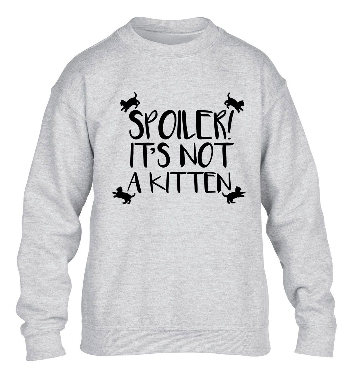 Spoiler it's not a kitten children's grey sweater 12-13 Years