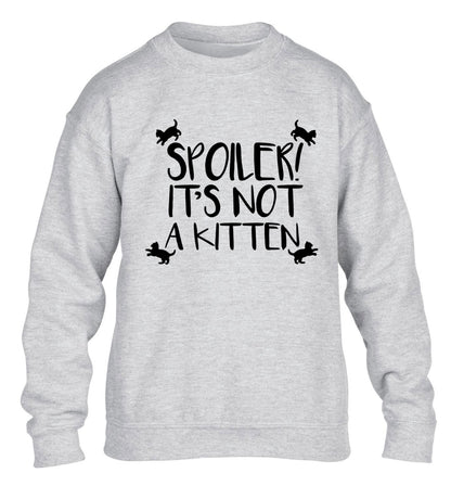 Spoiler it's not a kitten children's grey sweater 12-13 Years