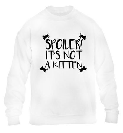 Spoiler it's not a kitten children's white sweater 12-13 Years