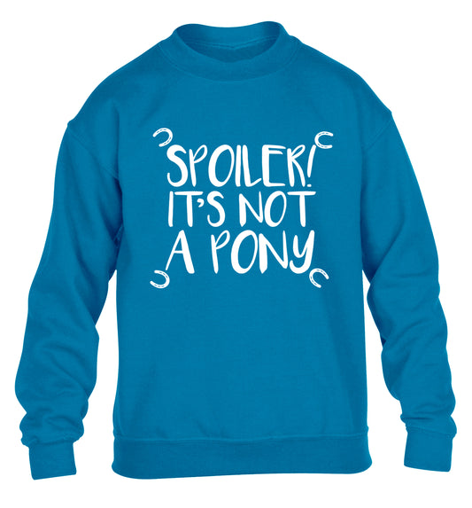 Spoiler it's not a pony children's blue sweater 12-13 Years