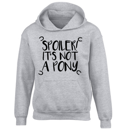 Spoiler it's not a pony children's grey hoodie 12-13 Years