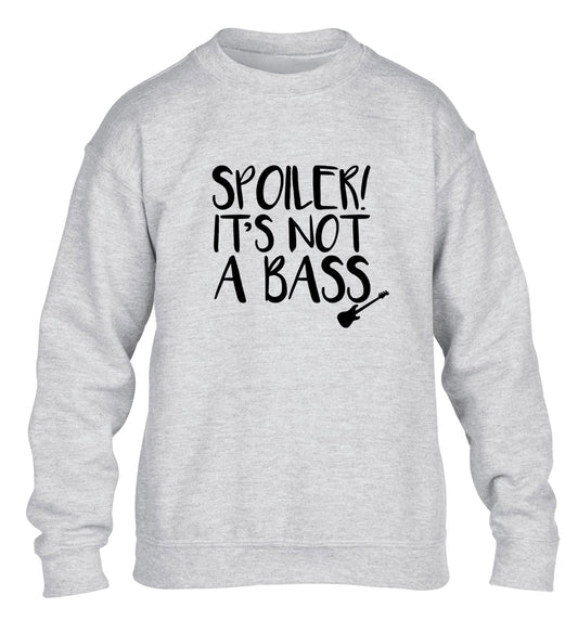 Spoiler it's not a bass children's grey sweater 12-13 Years
