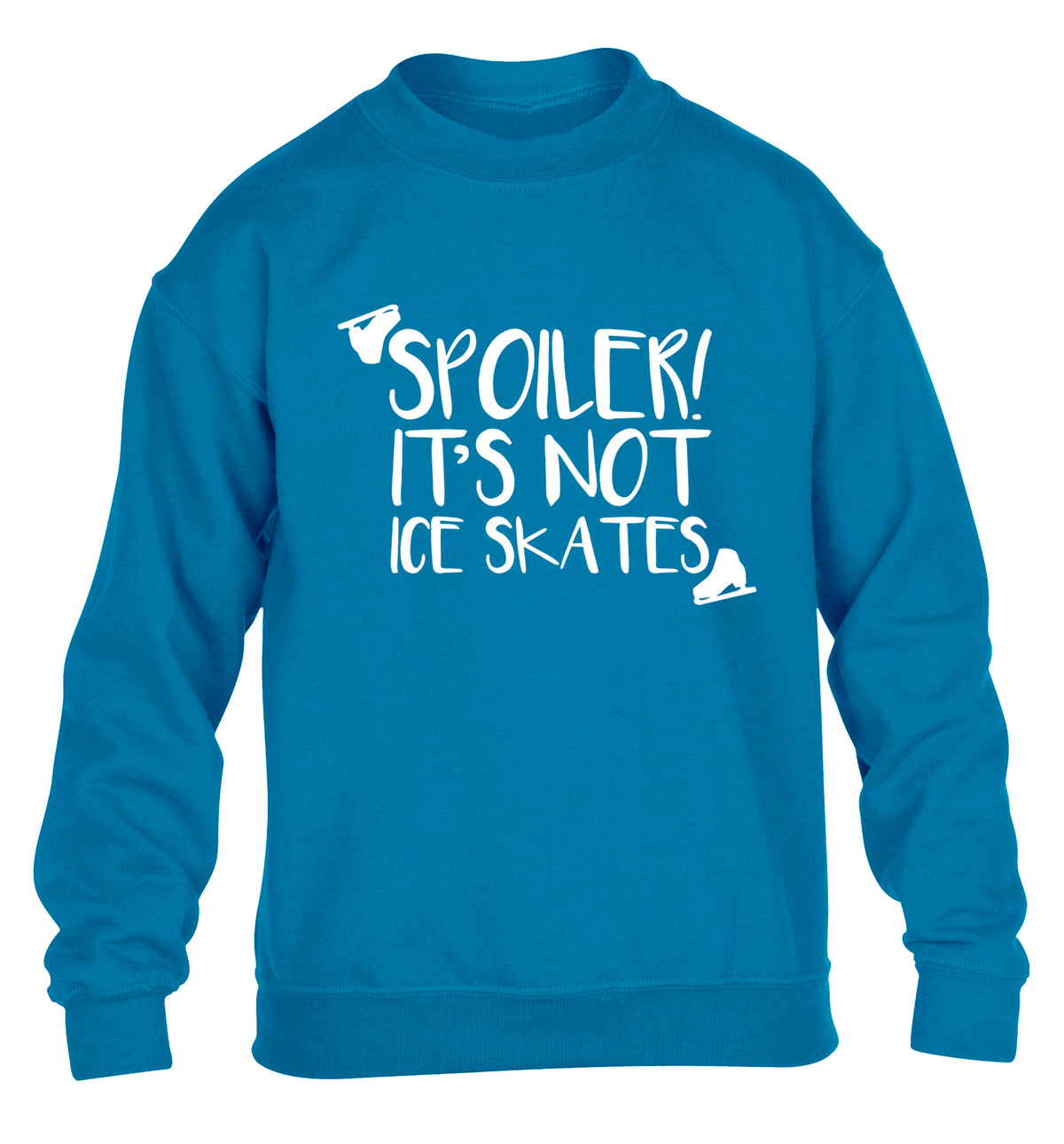 Spoiler it's Not a Pair of Ice Skates children's blue sweater 12-13 Years