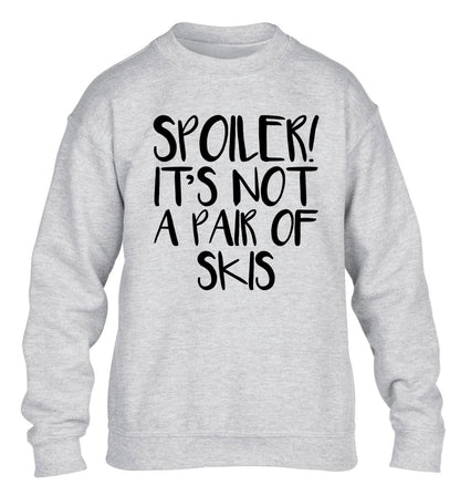 Spoiler it's not a pair of skis children's grey sweater 12-13 Years
