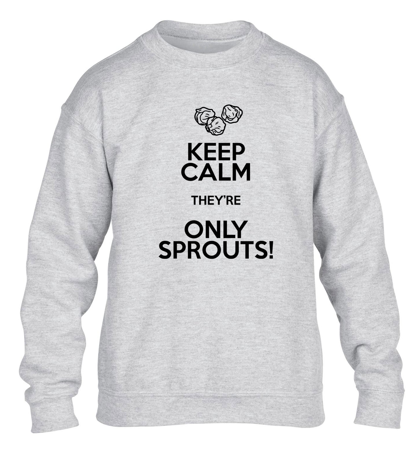 Keep calm they're only sprouts children's grey sweater 12-13 Years