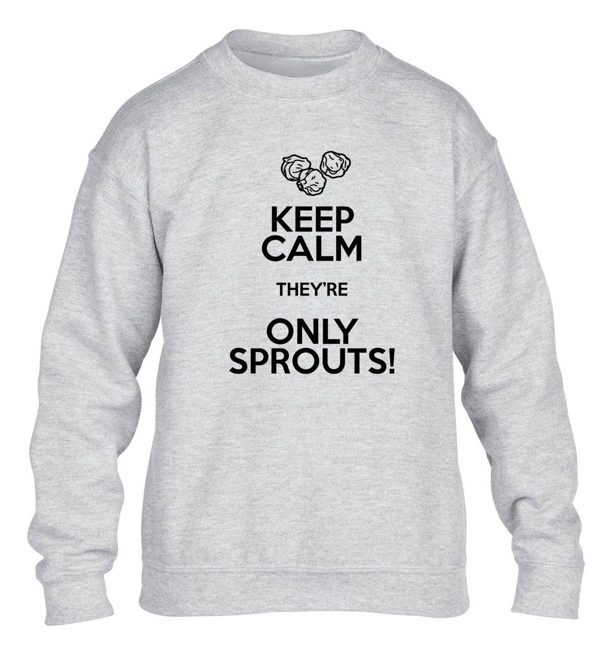 Keep calm they're only sprouts children's grey sweater 12-13 Years