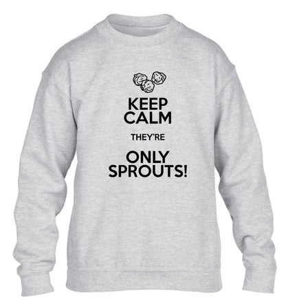 Keep calm they're only sprouts children's grey sweater 12-13 Years