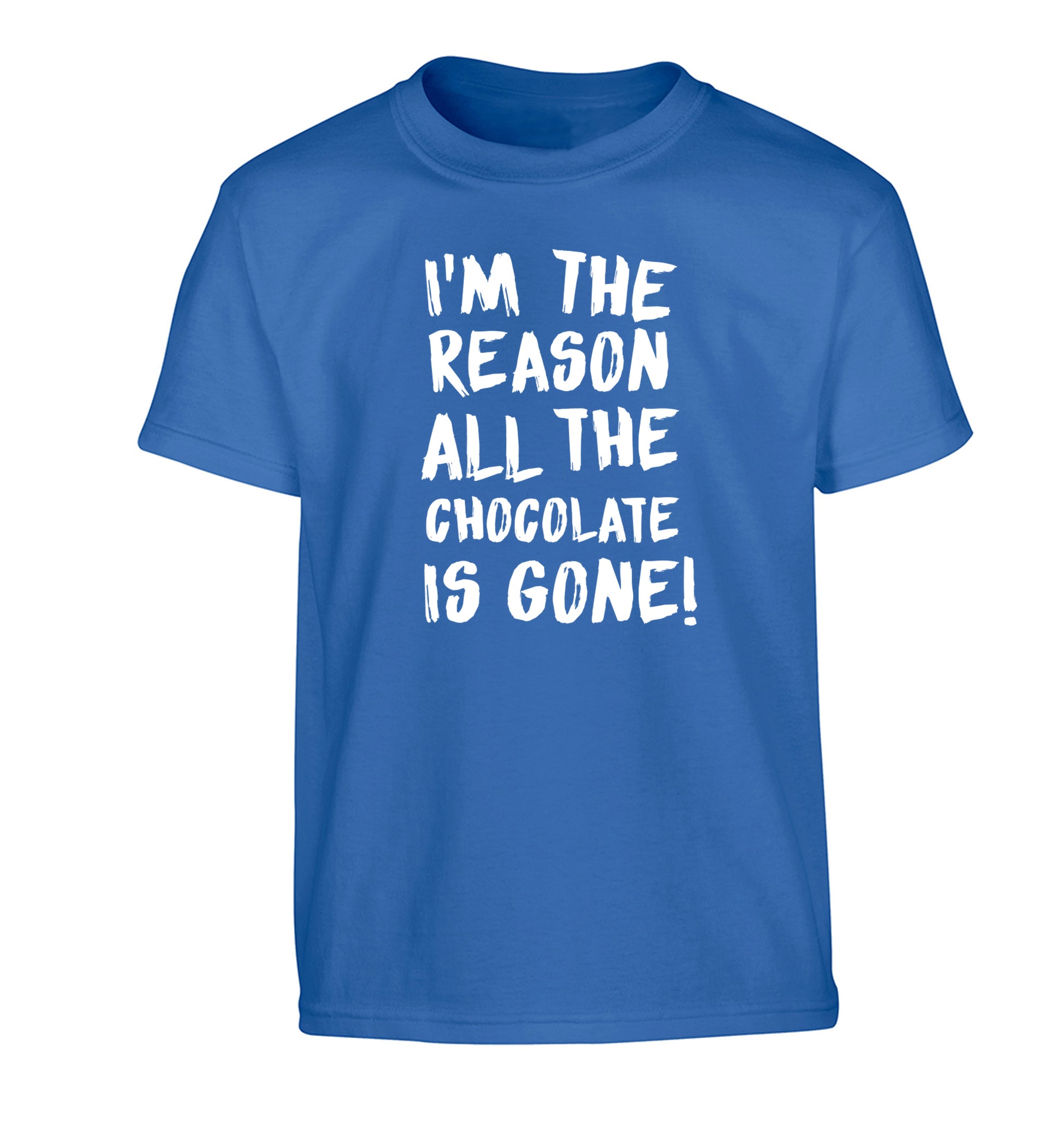 I'm the reason all the eggnog is gone Children's blue Tshirt 12-13 Years