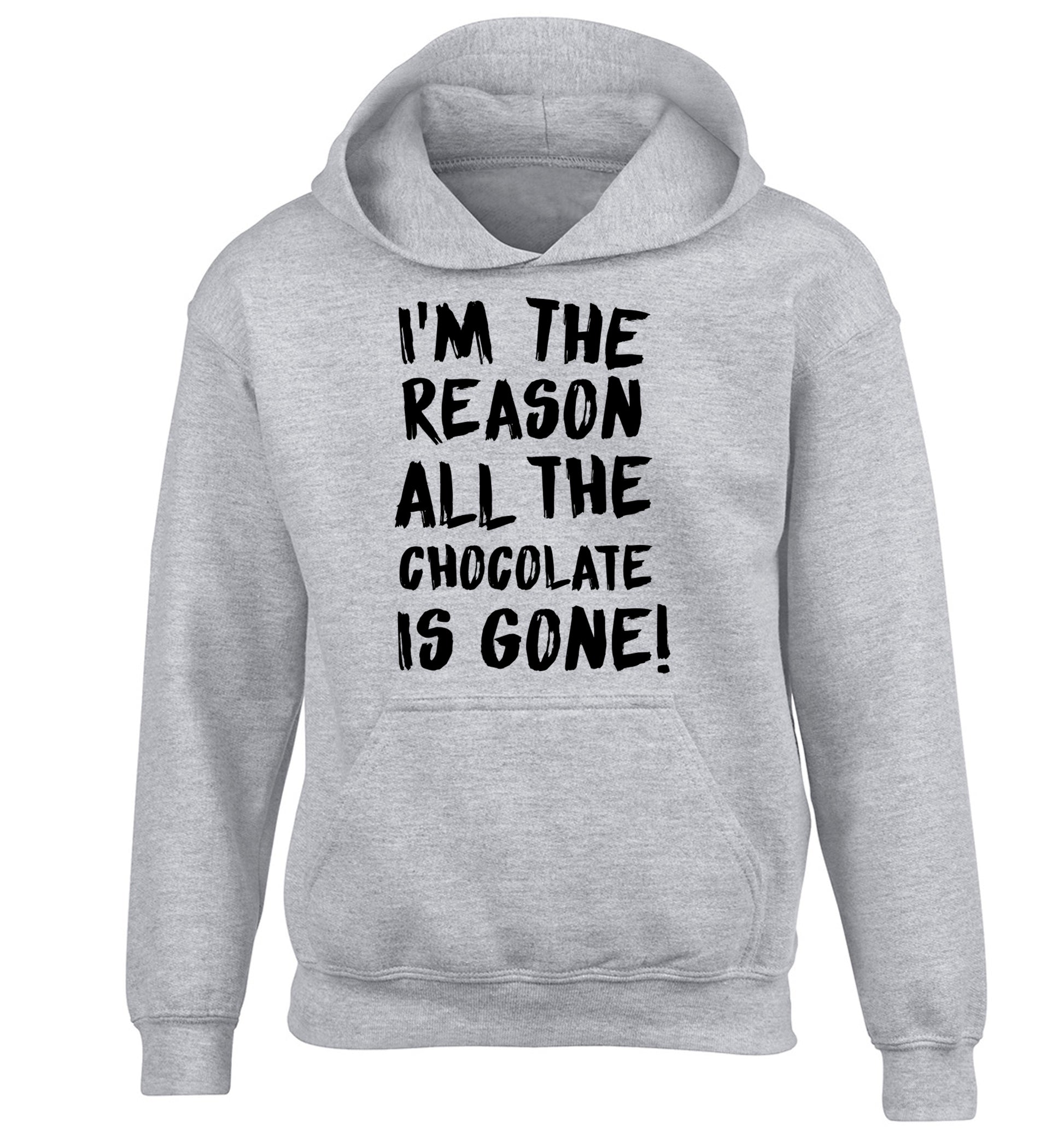 I'm the reason all the eggnog is gone children's grey hoodie 12-13 Years