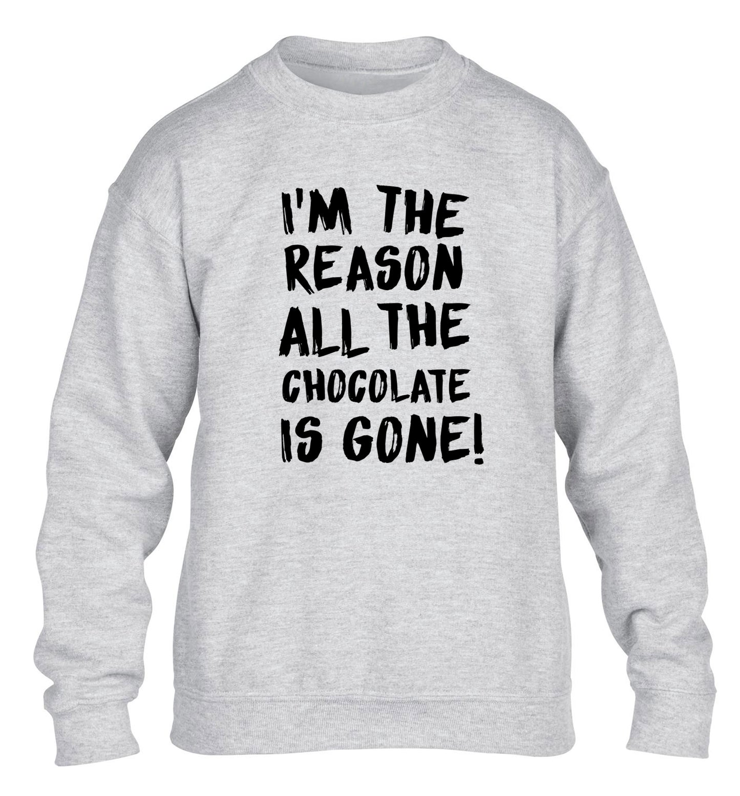 I'm the reason all the eggnog is gone children's grey sweater 12-13 Years