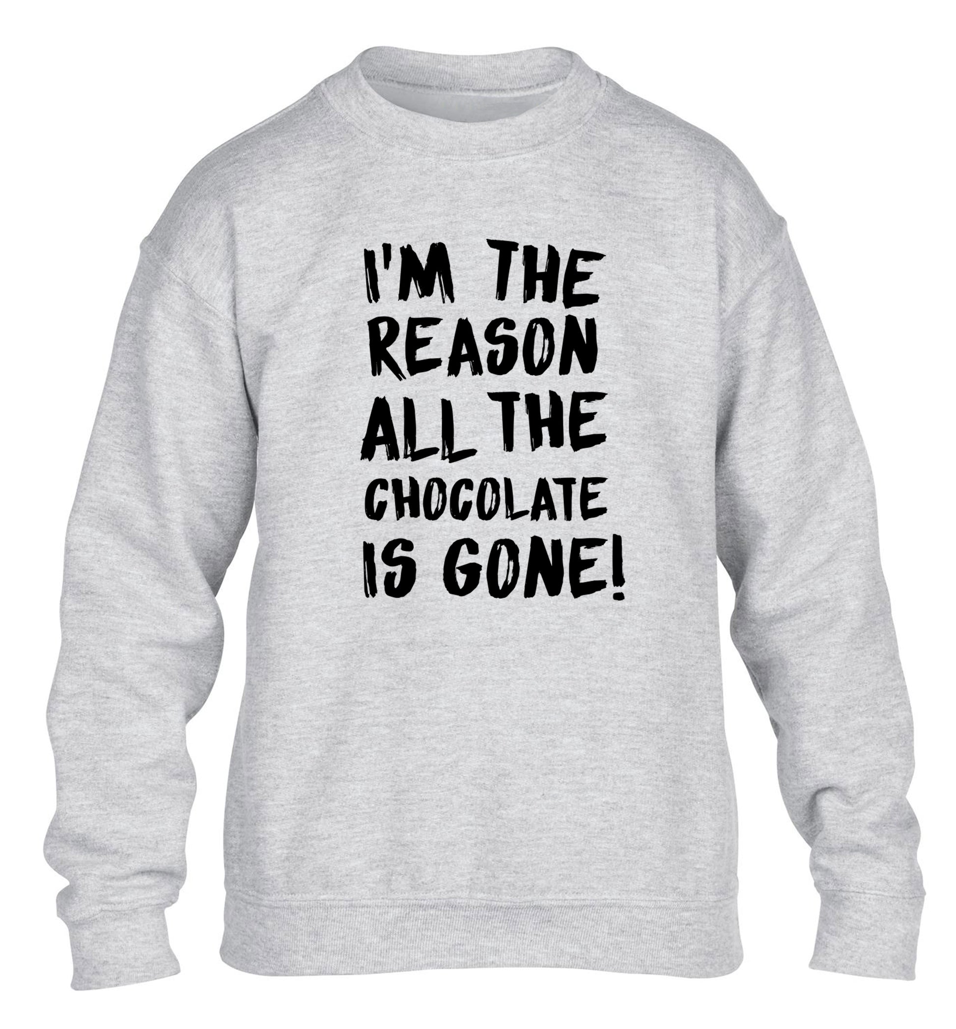 I'm the reason all the eggnog is gone children's grey sweater 12-13 Years