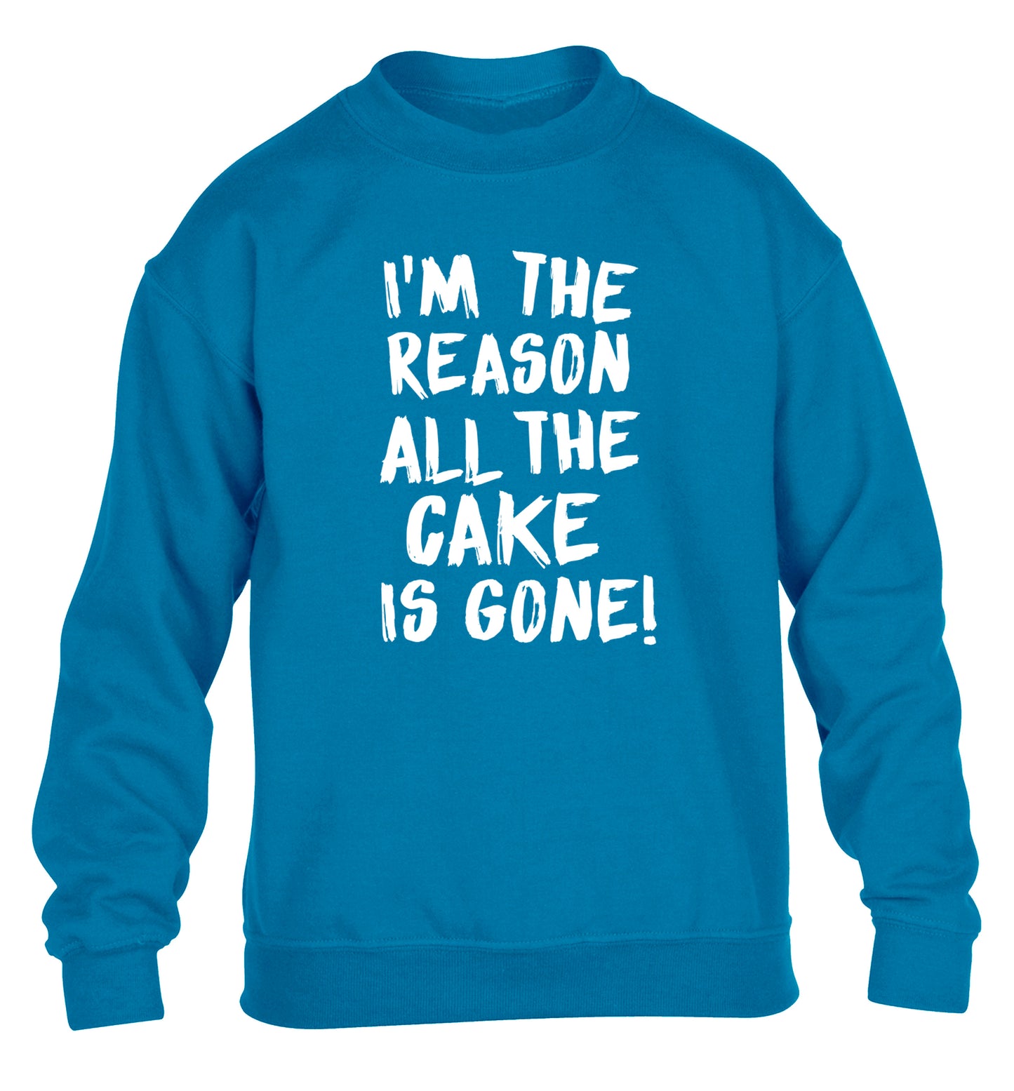 I'm the reason all the cake is gone children's blue sweater 12-13 Years