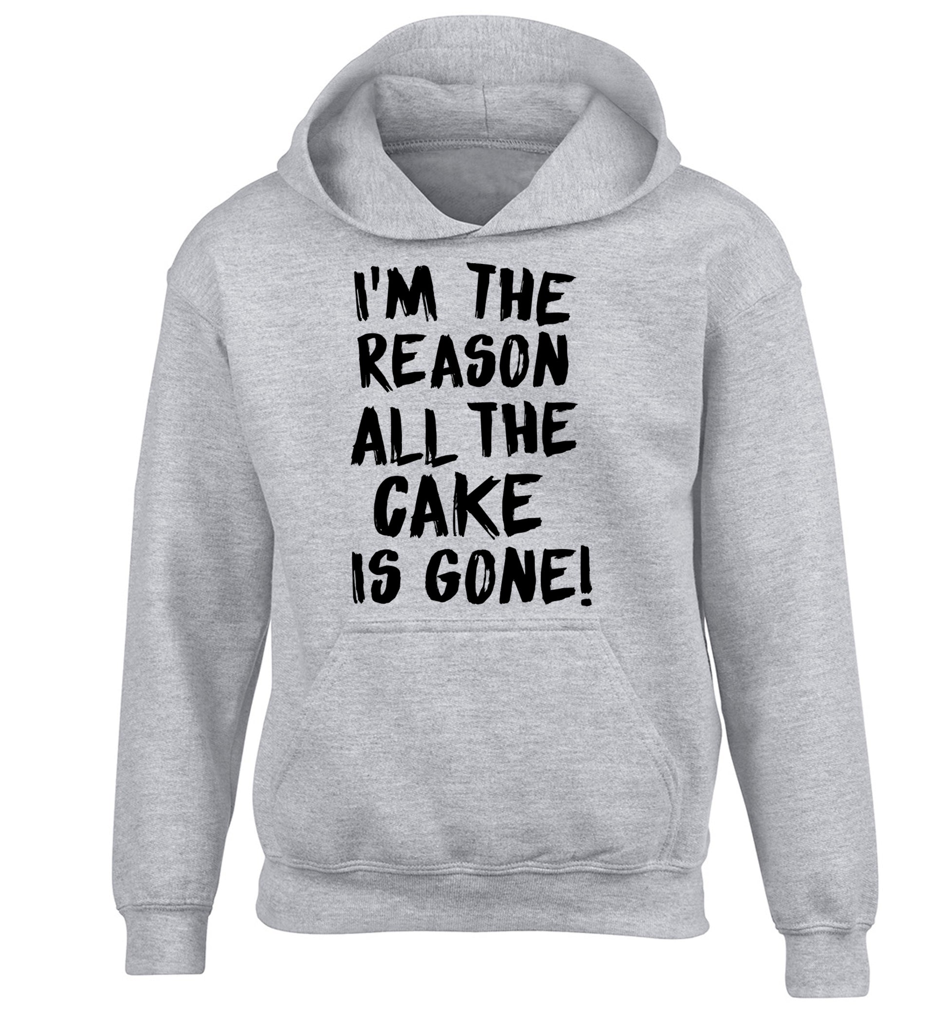 I'm the reason all the cake is gone children's grey hoodie 12-13 Years