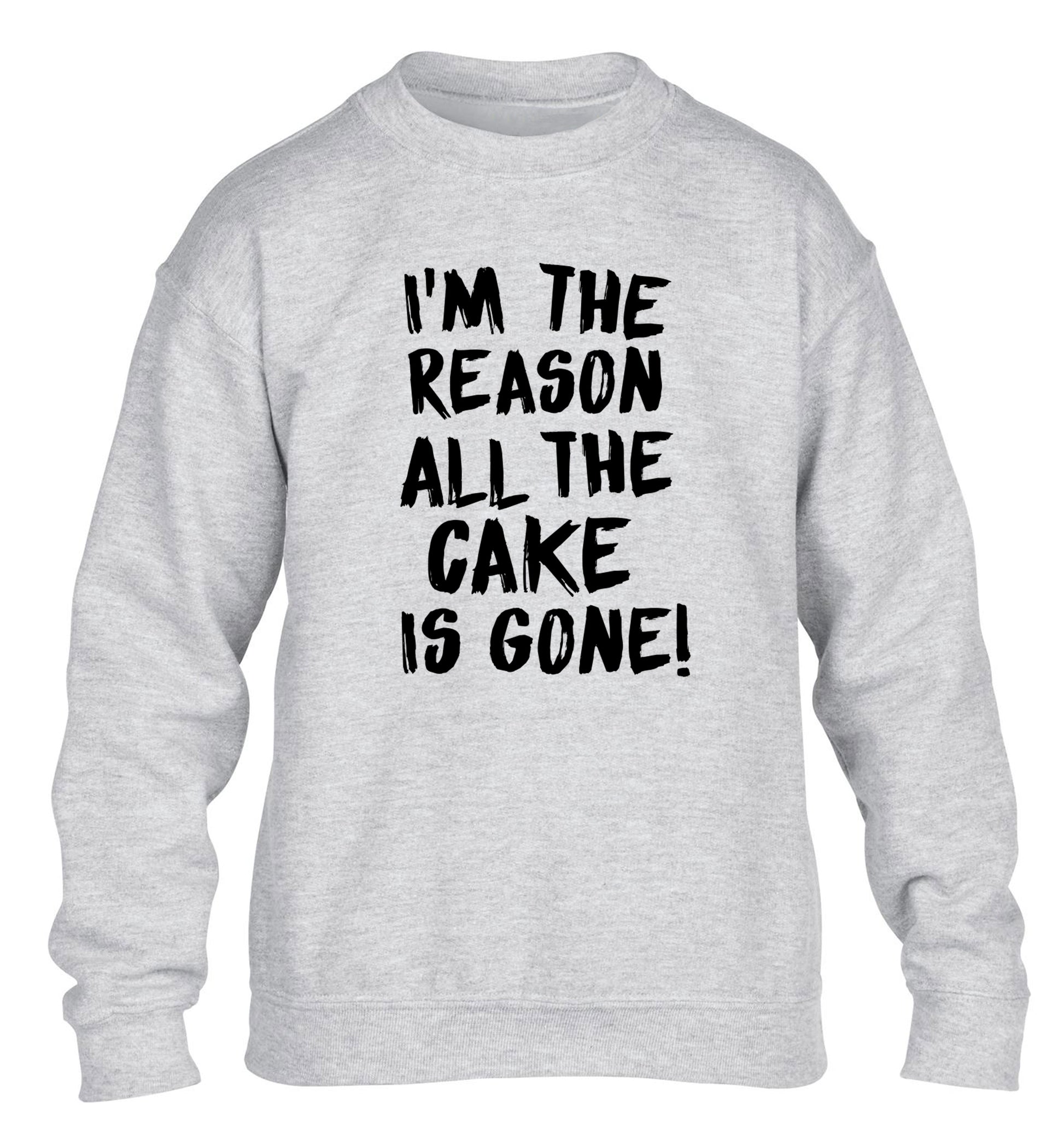 I'm the reason all the cake is gone children's grey sweater 12-13 Years