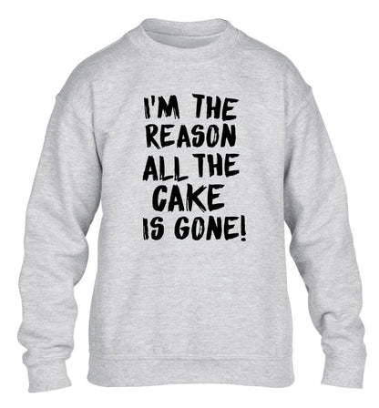 I'm the reason all the cake is gone children's grey sweater 12-13 Years