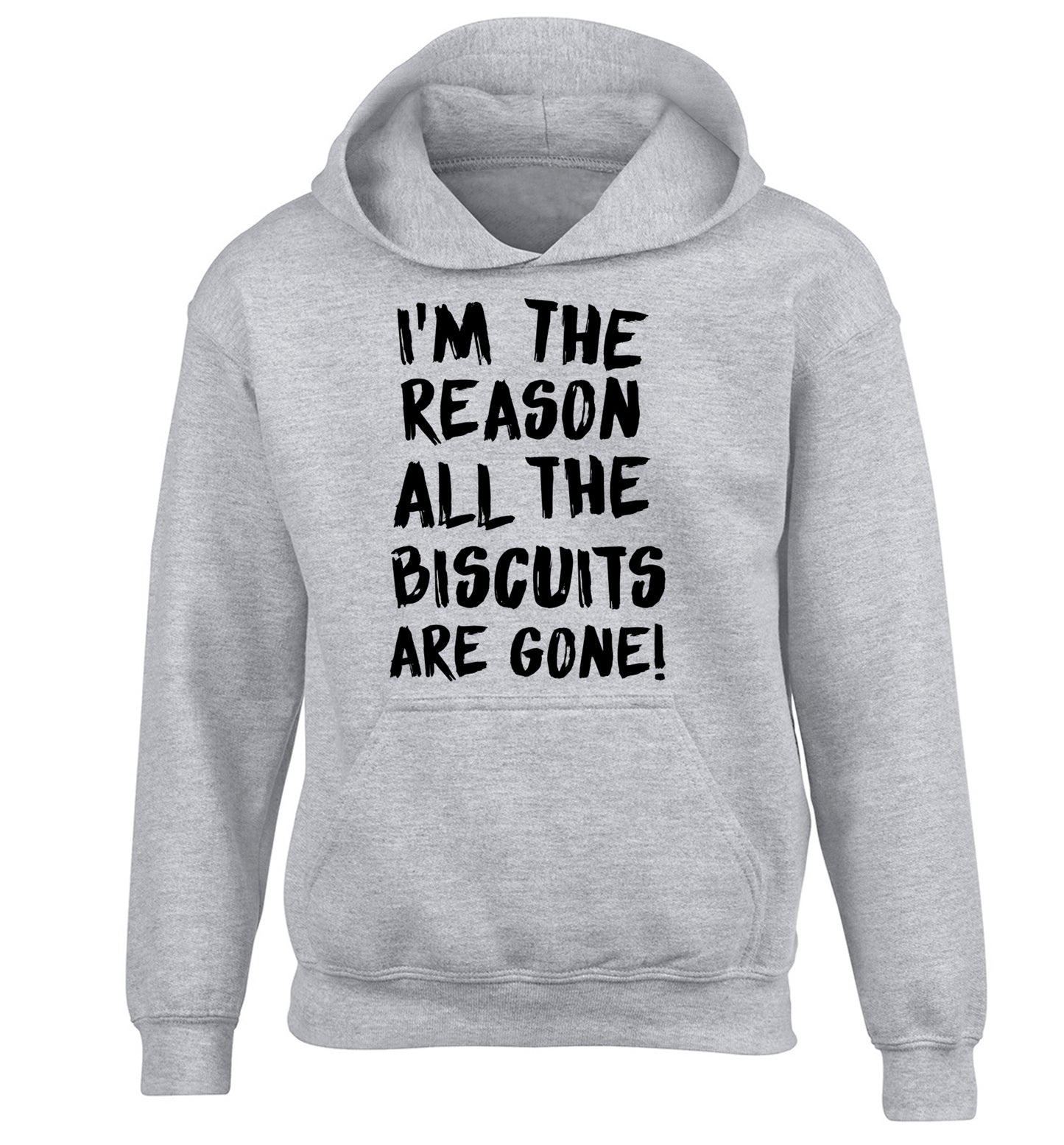 I'm the reason why all the biscuits are gone children's grey hoodie 12-13 Years