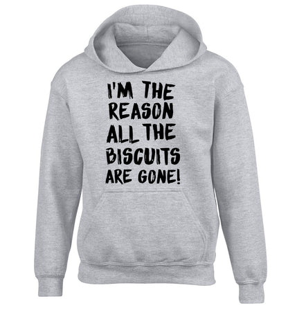 I'm the reason why all the biscuits are gone children's grey hoodie 12-13 Years