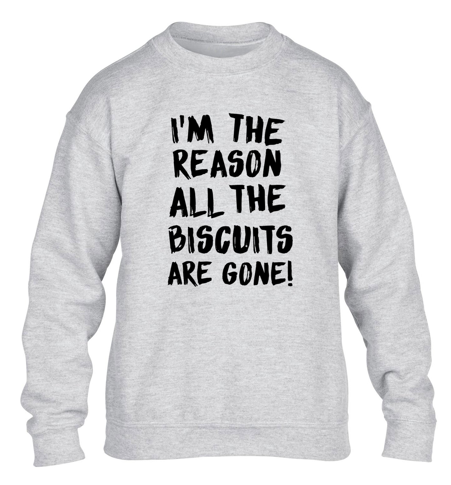 I'm the reason why all the biscuits are gone children's grey sweater 12-13 Years