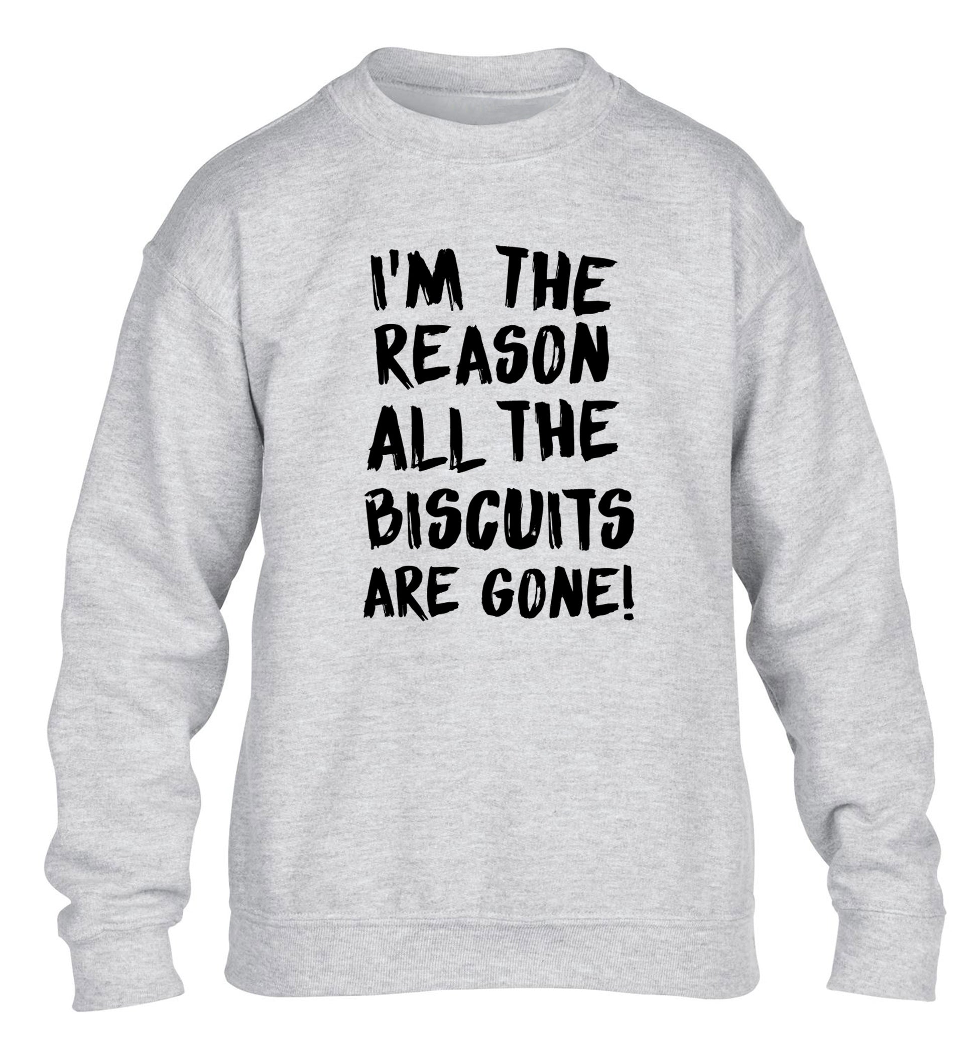 I'm the reason why all the biscuits are gone children's grey sweater 12-13 Years